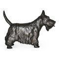 Scottish terrier
