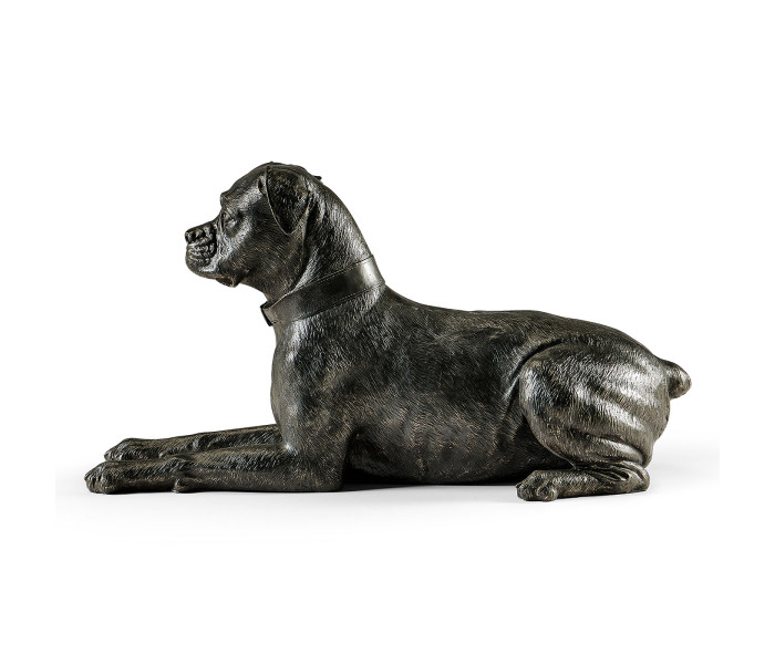 Bella boxer lying - large