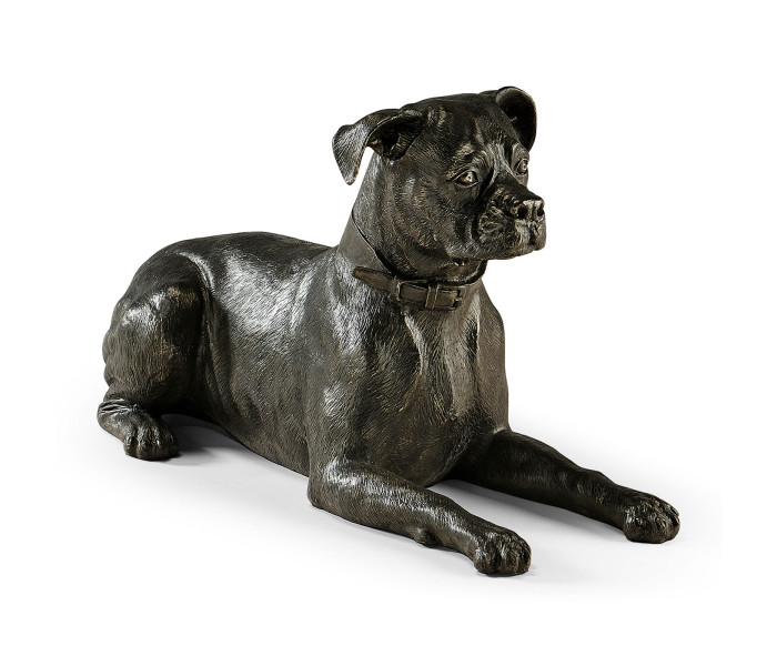 Bella boxer lying - large