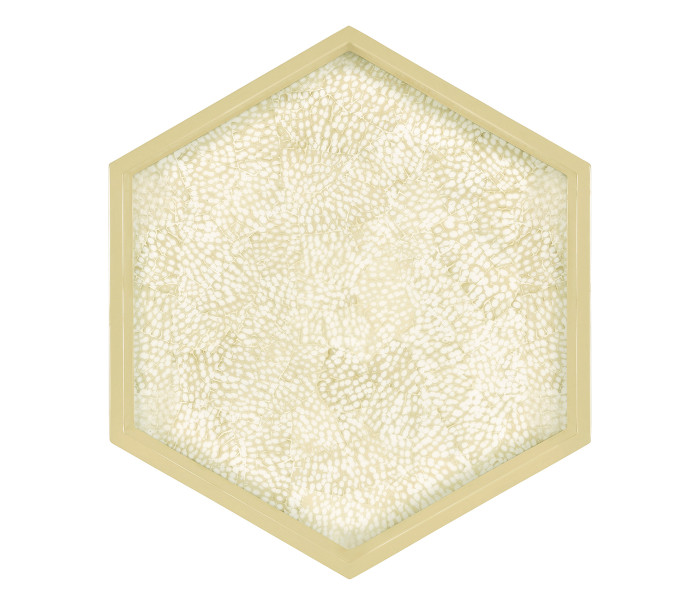 Hexagonal Eggshell Tray Hexagonal Eggshell Tray