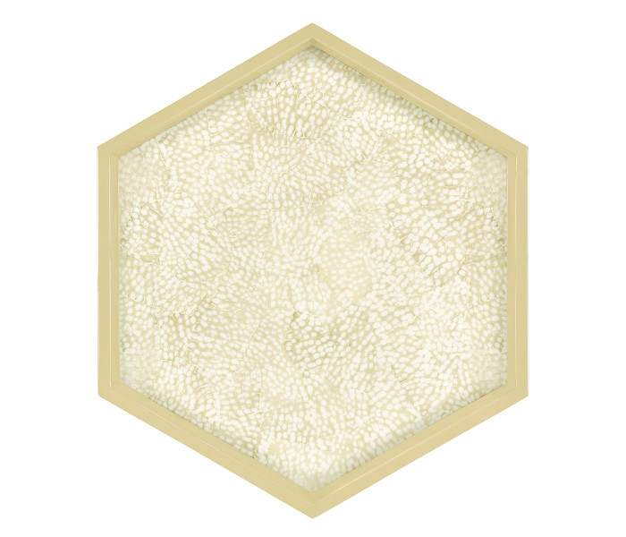 Hexagonal Eggshell Tray