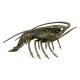 Antique Dark Bronze Langoustine