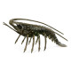 Antique Dark Bronze Langoustine
