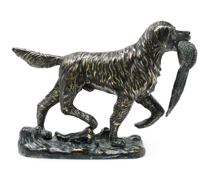 Dark Bronze Golden Retriever Dog