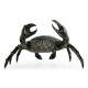 Dark Bronze Crab Dark Bronze Crab
