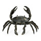 Dark Bronze Crab Dark Bronze Crab