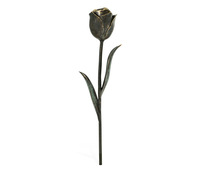 Dark Bronze Tulip Flower