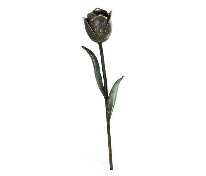 Dark Bronze Tulip Flower Dark Bronze Tulip Flower