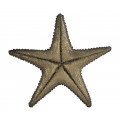 Dark Bronze Starfish