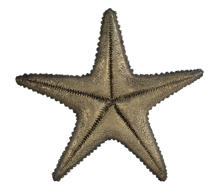 Dark Bronze Starfish Dark Bronze Starfish