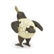 Antique Dark Bronze Kiwi in Broken Eggshell Antique Dark Bronze Kiwi in Broken Eggshell