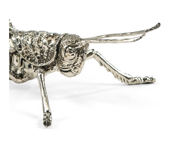 White Brass Grasshopper White Brass Grasshopper
