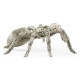 White Brass Turantula