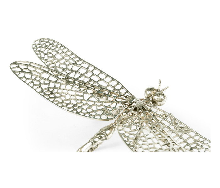 White Brass Dragonfly